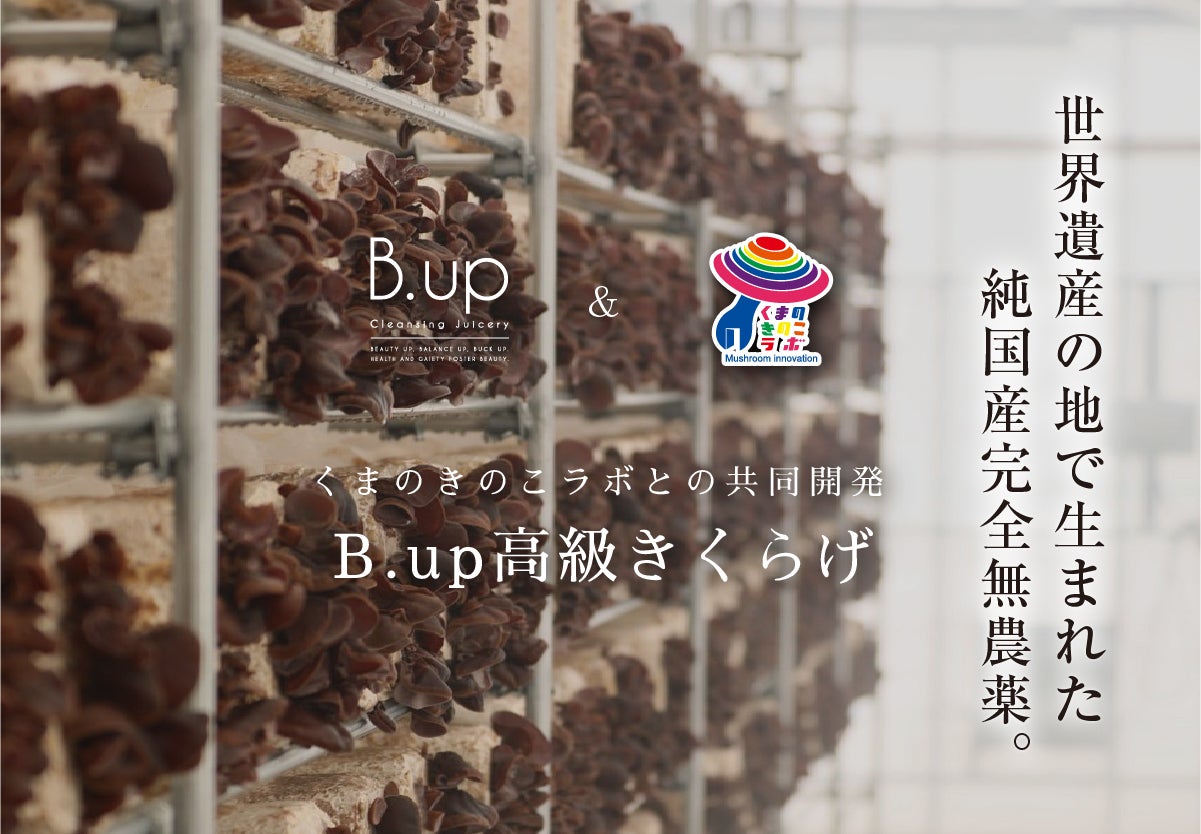 その他 B-UP フルーツ・きくらげの通販｜B.upオンラインショップ | B.up Official