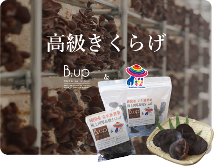 ダイエット食品 B-UP フルーツ・きくらげの通販｜B.upオンラインショップ | B.up Official